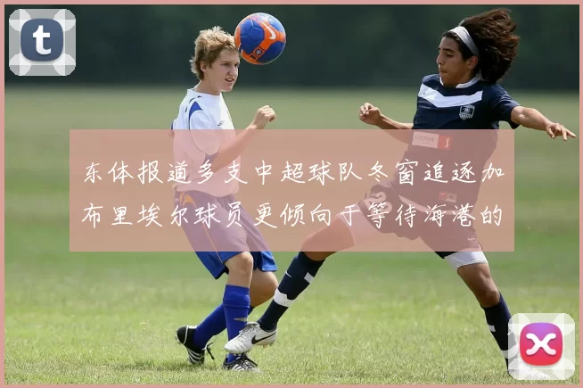 东体报道多支中超球队冬窗追逐加布里埃尔球员更倾向于等待海港的机会