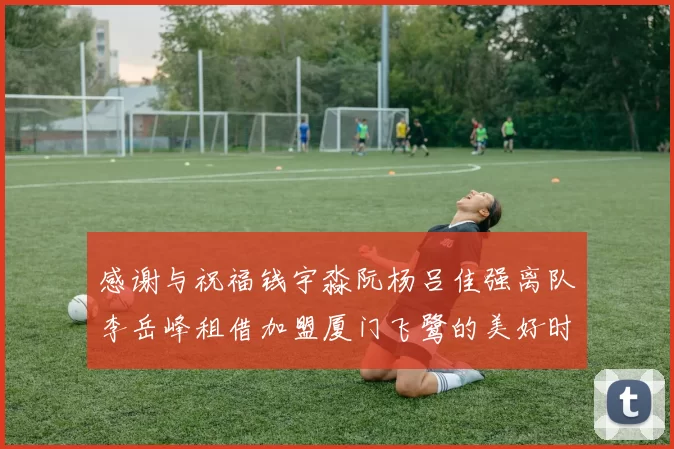 感谢与祝福钱宇淼阮杨吕佳强离队李岳峰租借加盟厦门飞鹭的美好时刻